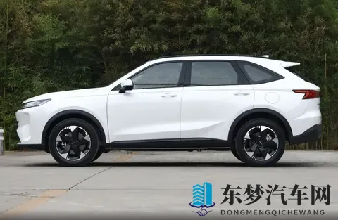 拉长轴距迫不得已，全新哈弗H6L设计挺新颖，15T动力有点不足？-2