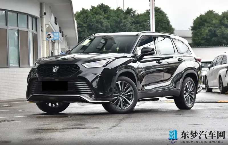 这车购车手册来了，同等价位下，纯燃油、油电混动选哪个？-1