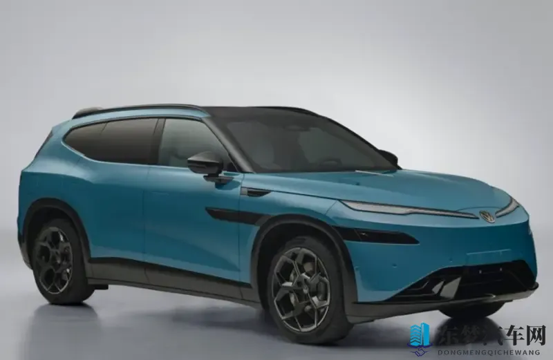 这次“金”艳到了吗？与众08亮相，定位全尺寸纯电SUV-1