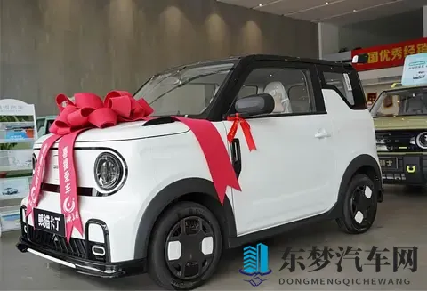 迟到的提车作业 吉利熊猫mini提车日记分享+验车步骤+当地习俗-3