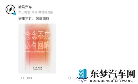 10W+威马车主“好事将近”？-3