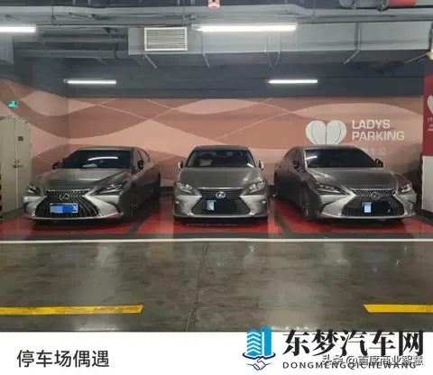 铜铜铜铜铜铜铜铜好多疼：油价飙升引发技术变革,节能车型成焦点