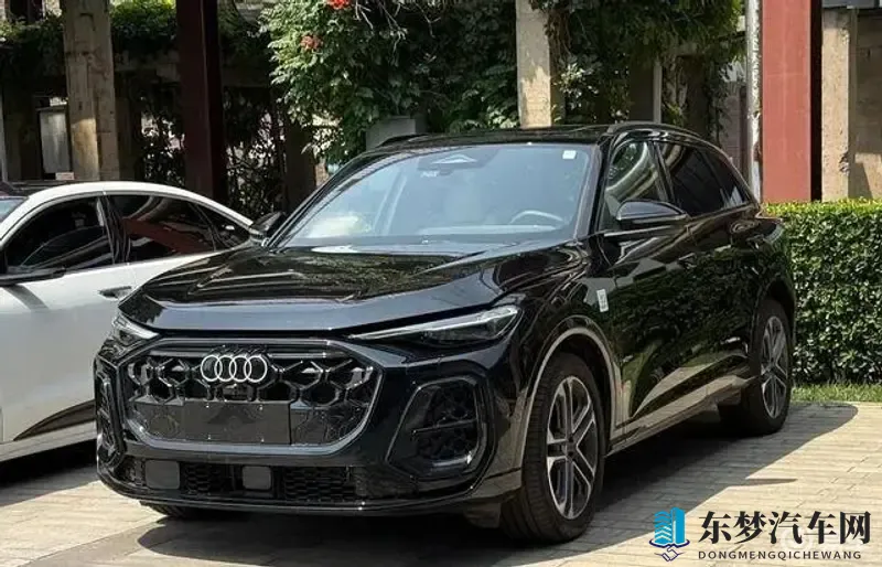 不要播放器的av：无需播放器即可欣赏AV内容-1