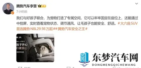 腾势玩起生态那股劲头，怕是连雷军都得竖大拇指？-1