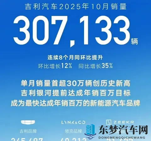 中国新能源汽车市场大混战：零跑杀出黑马比亚迪吉利打的火热-1