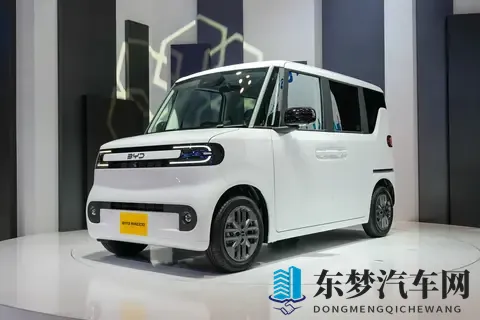 比亚迪海獭会在国内生产和上市？