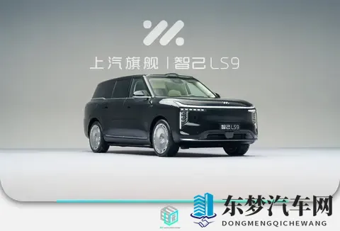 细节满满_堆料十足 智己LS9静态体验-2