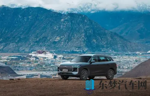 奇瑞热门车型迎更新 第五代瑞虎8开启预售-1