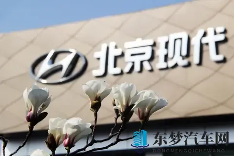 暴涨 87%！北京现代 10 月卖 2 万台，网友质疑：现在还有人买现代吗？-2