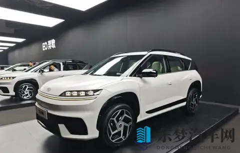 5万级纯电车拼配置，九气囊挑战安全标准，772公里续航搅局市场-1