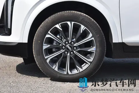 丰滿女人与藏獒啪啪交：汽车设计如何平衡力量与优雅-2