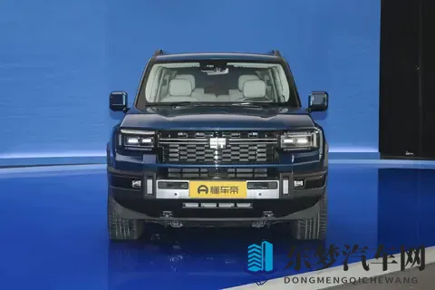 3929万，配360全景+5个毫米波雷达，这台纵横G700如何？-3