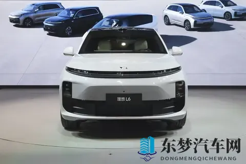 1-10月新势力车企KPI达成率：小鹏提前冲线，理想、极氪只有5成多-2