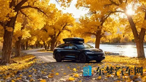 智界推出黑武士限时权益,至高58794元综合权益诚意拉满-3