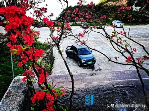 银十销冠炸场！零跑月卖7万成新王，去年还差点倒闭？（随笔）-2