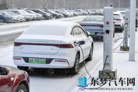 燃油车真的凉了?99% 车主用脚投票,这组数据戳破争议-3