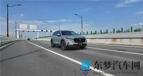 加勒比综合：新能源汽车革命：科技融合引领未来出行-2