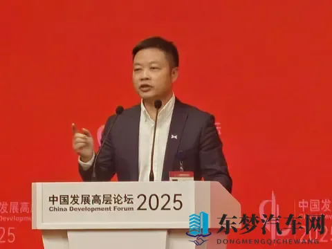 何小鹏说10年后中国汽车只剩5强和Others不少品牌老板听后背发凉-3