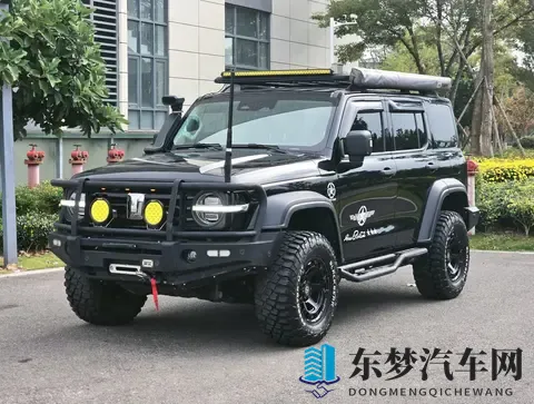 成人片AV：情欲映像,私密视觉体验