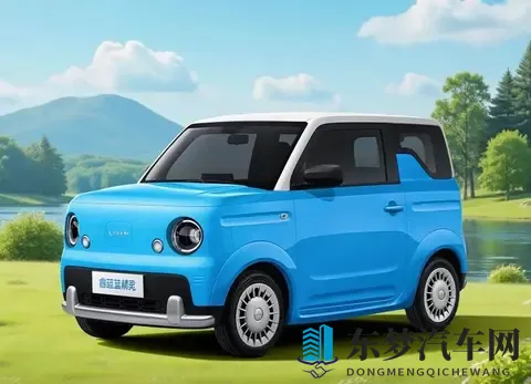 续航突破210km，8英寸大屏，全新睿蓝新车女生完全抵抗不了-1