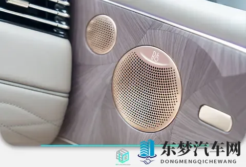 细节满满_堆料十足 智己LS9静态体验-3