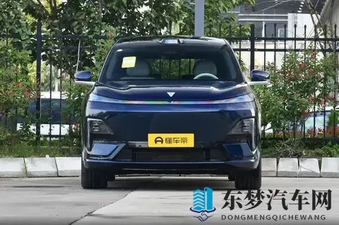 深蓝 S09 vs 腾势 N9！家庭 SUV “六边形战士” 花落谁家？-2
