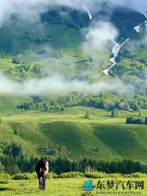 斗罗大陆禁游免费下载安装：智能驾驶：未来出行新趋势，安全高效节能-2