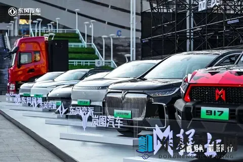 路上不认识的车标，是大厂换马甲-2