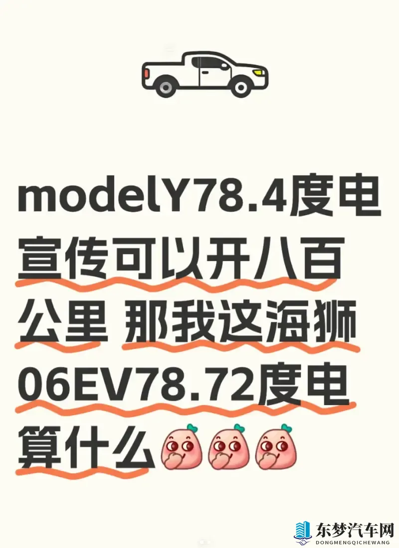 Model Y 和海狮 06EV ：电池容量差不多-1