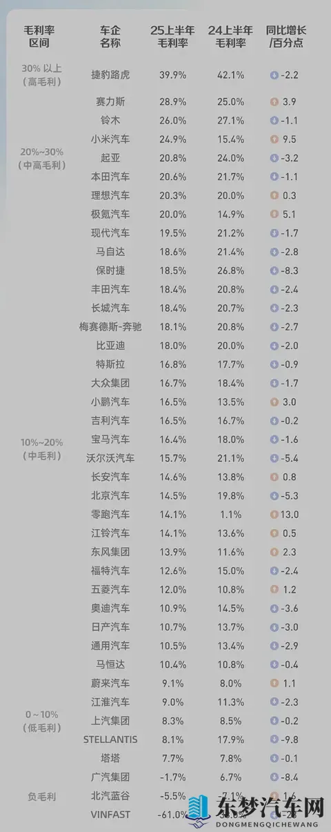 毛利率之争白热化:谁将赢得未来市场的入场券?-2