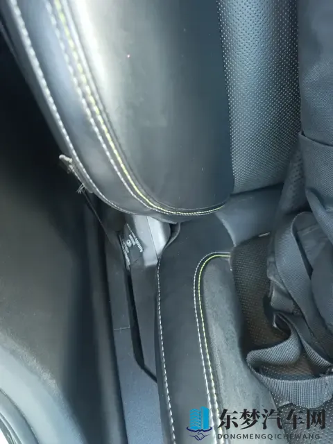 香蕉草莓,绿巨人,秋葵：独特元素激发汽车设计灵感，新车型引期待-3