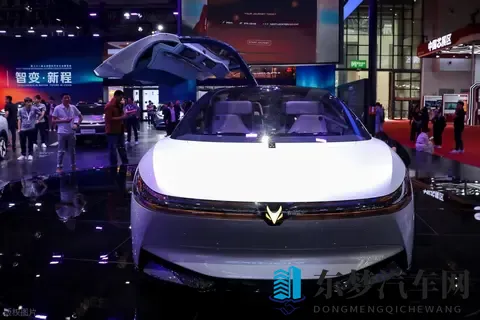 黑人巨大与亚洲娇小的区别:汽车设计新挑战:如何满足不同体型需求?-2