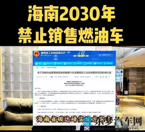 燃油车禁售谣言拆解，未来十年燃油与新能源共存无忧-3