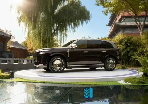 华系旗舰尽显文化自信，岚图泰山诠释豪华真谛-2