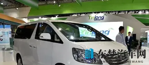 董明珠成功造车，车标惊艳众人，一看价格网友直呼：你疯啦！！！