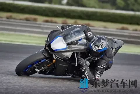 2025年仿赛摩托车年度榜单：杜卡迪V4 R狂揽221马力称霸！-2