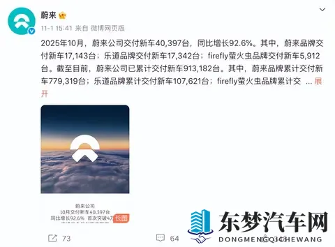 10月车企销量  黑马零跑破7万，巨头比亚迪狂揽44万-3