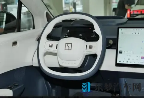 新款极氪X要上市！新色+37秒破百，15万级值吗？-1