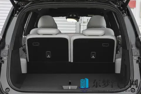 史诗级纠结？深蓝S09与魏牌蓝山，谁才是30万级大六座SUV优选？-2