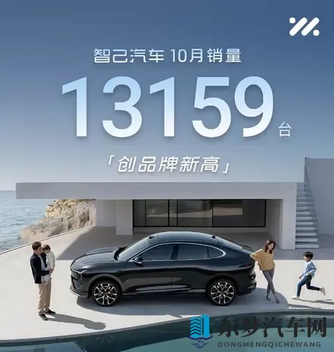 10月销量大盘点：零跑破7万，蔚来迈进4字头-2