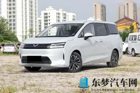 五菱星光730，11月上市！738万起带侧滑门，传祺M6慌吗？-3