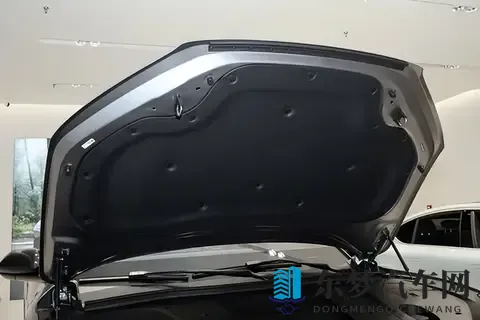 338万能买到什么？这台纯电SUV告诉你“值”的新标准-1