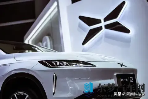 十年洗牌，中国企业只剩五家？-1