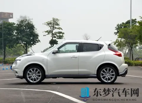 设计跳出三界外 盘点五款国内有一定能见度的“颜王”车-3