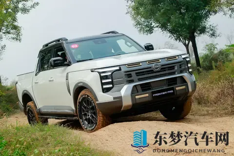 定名锋坦挂日产LOGO 郑州日产全新皮卡1769万起预售-2