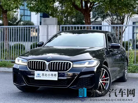 斗罗色游：汽车文化新风向：游戏助力品牌营销新突破