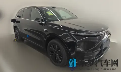 理想L6：男女老少通吃，客户共同点是没有6座需求-1