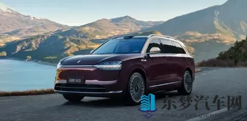 同车不同命！新能源车险为何成为“甜蜜负担”？-1