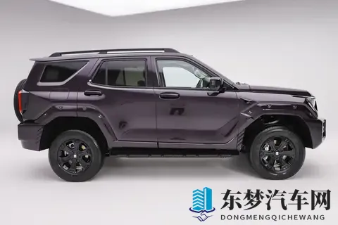 黄色富二代：明艳座驾背后的财富新态度-3