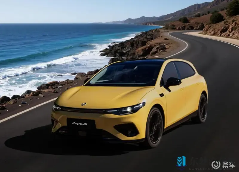 剧烈运动打扑克：运动后娱乐，轻松打牌享受时光-2